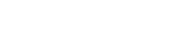 williamsburg-chauffeur-logo