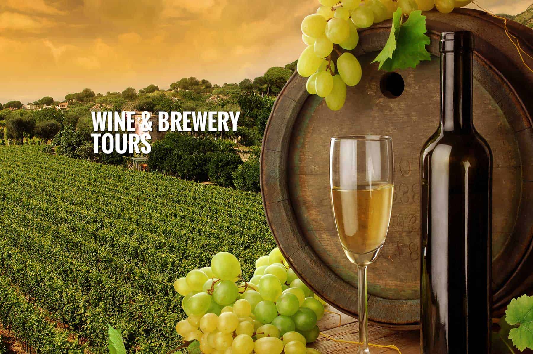 wine and beer tours.com
