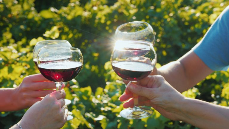 Wine Tours on a Party Bus in Virginia